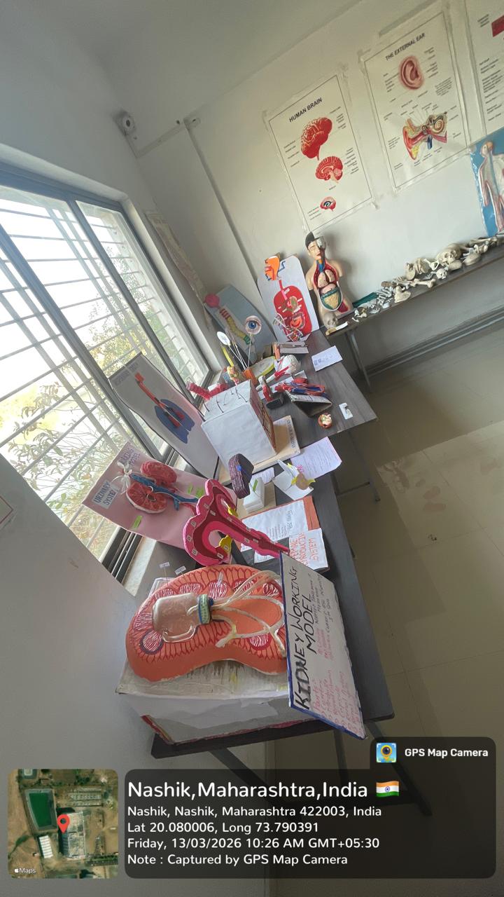 Anatomy and Physiology Lab