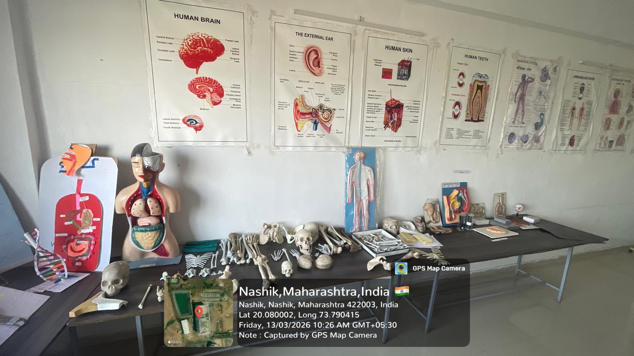 Anatomy lab 3